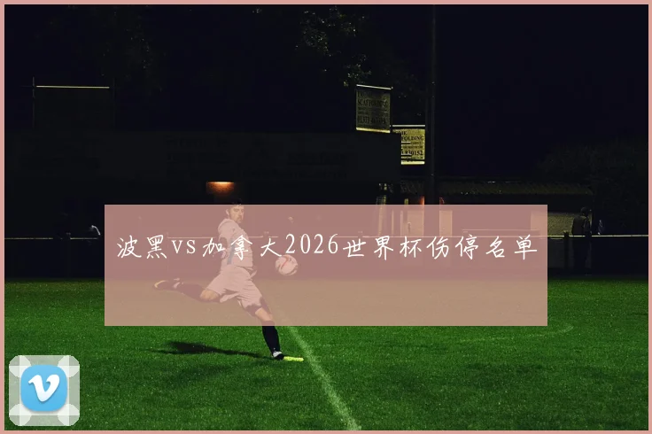 波黑vs加拿大2026世界杯伤停名单