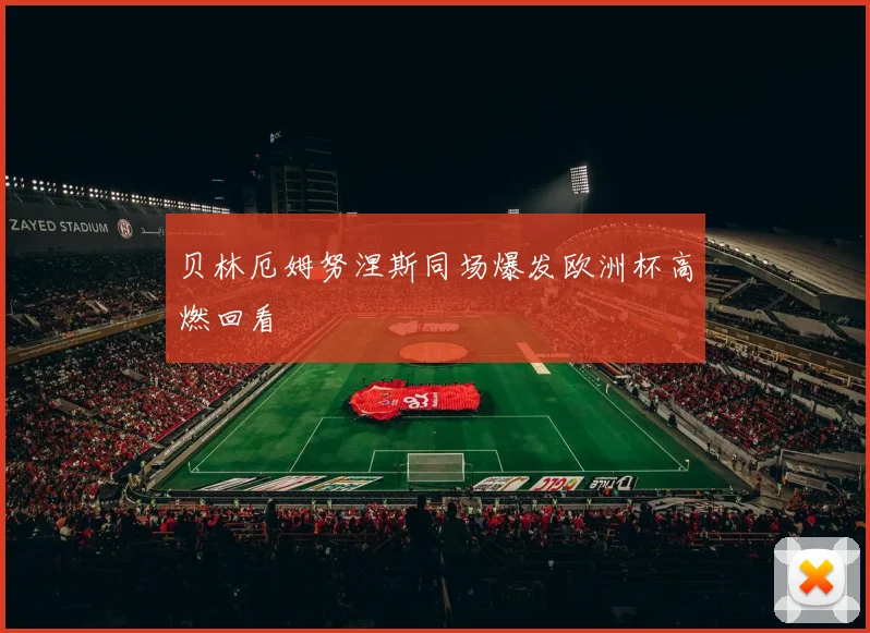贝林厄姆努涅斯同场爆发欧洲杯高燃回看
