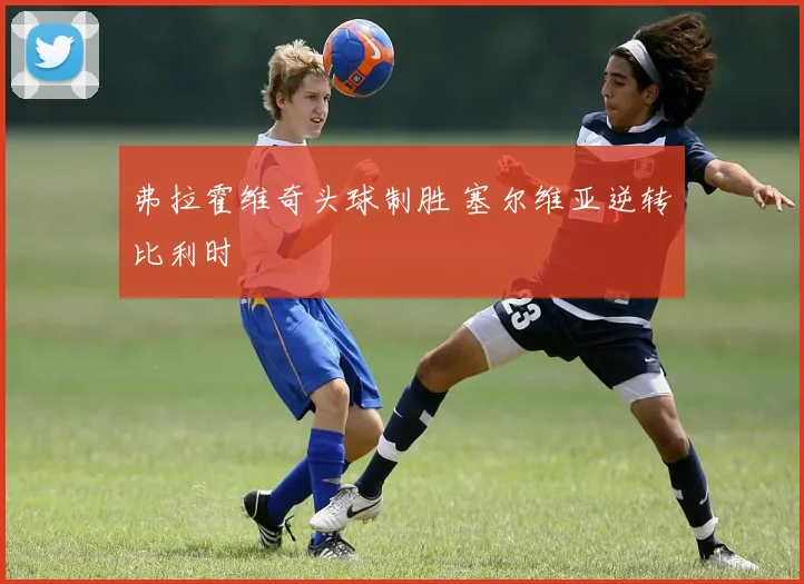 弗拉霍维奇头球制胜 塞尔维亚逆转比利时