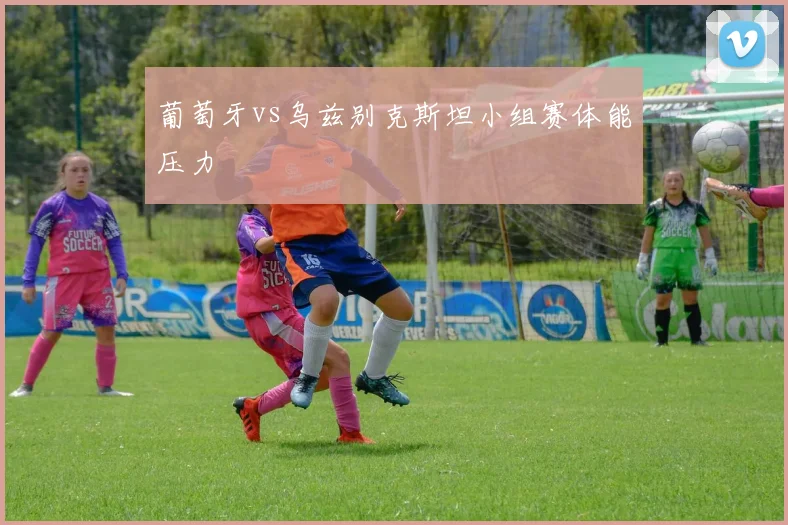 葡萄牙vs乌兹别克斯坦小组赛体能压力